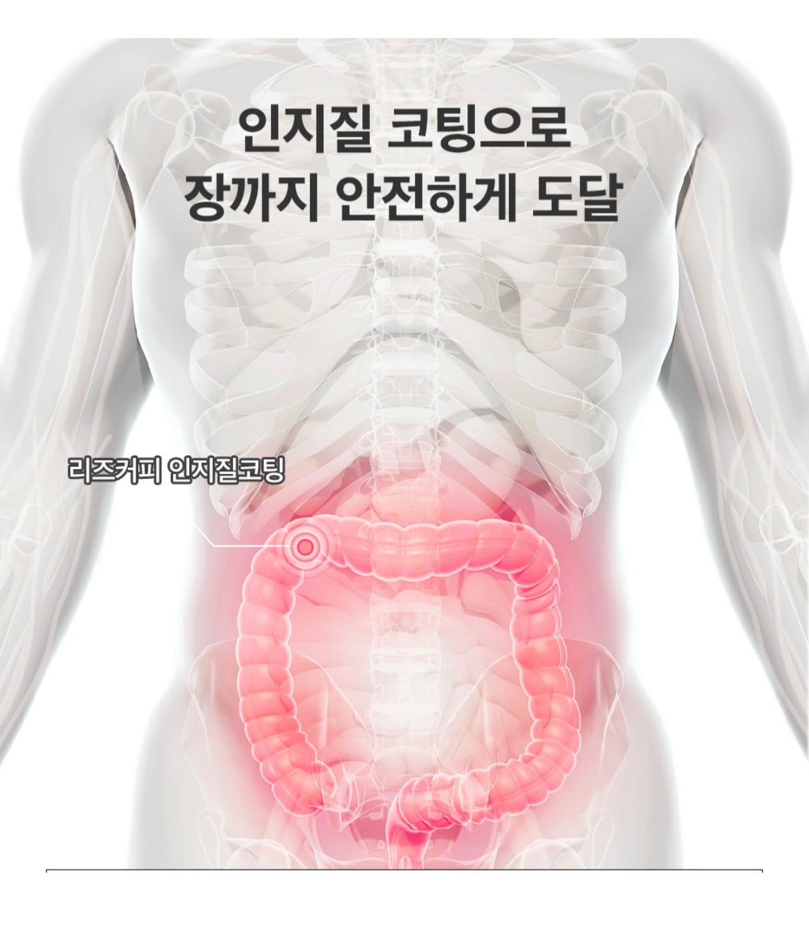 Multi Enzyme Coffee Leeds Coffee_공구구성