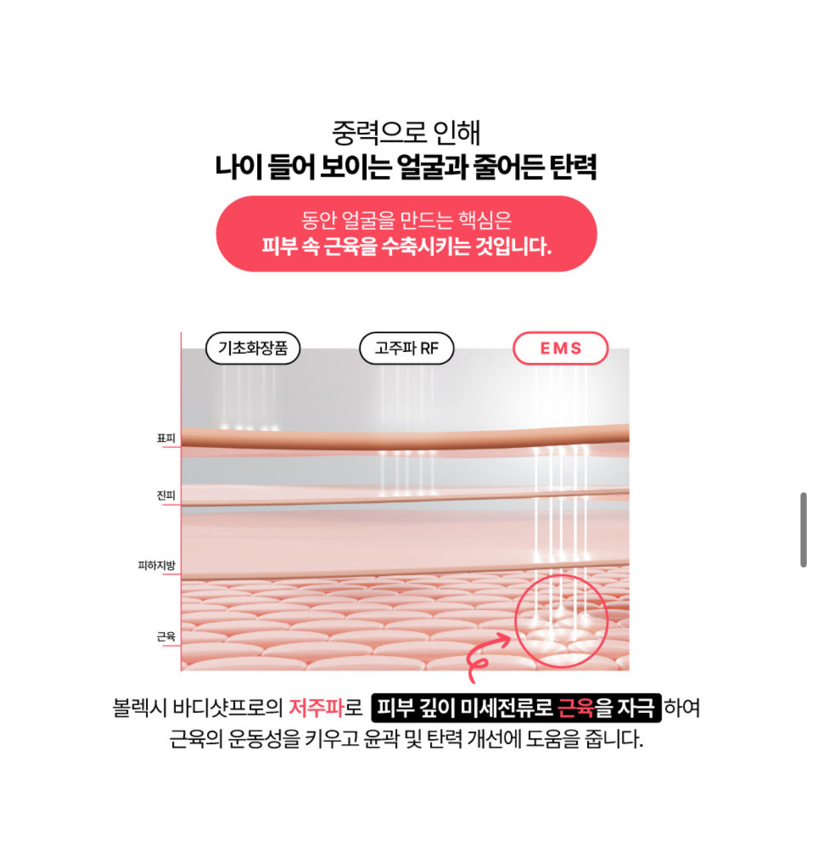 Volexy Body Shot Pro & Scalp Shot Pro