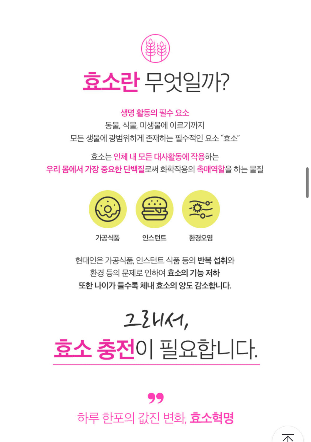 MOVITA Enzyme Revolution_공구구성 7/5-7/7/2023