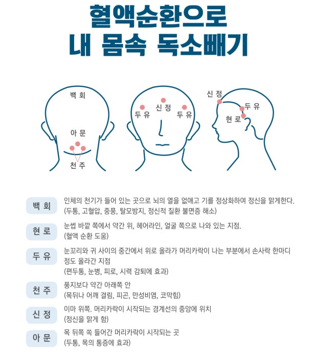 Wellive Magnetic Gua Sha Selfie Brush