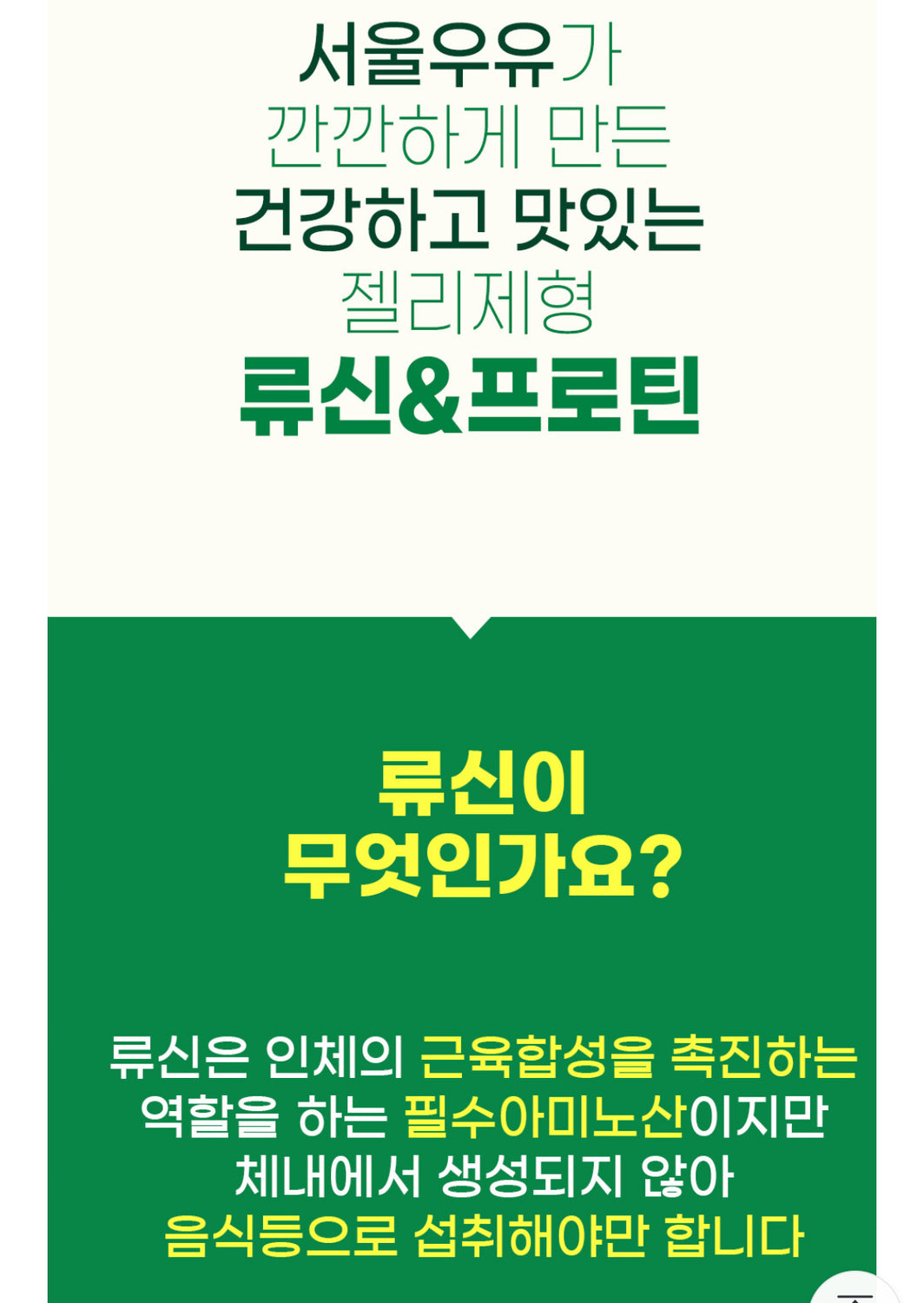 Seoul Milk Colostrum Protien & Lueicine Jelly Sticks _공구구성 (4/1-4/3/24)